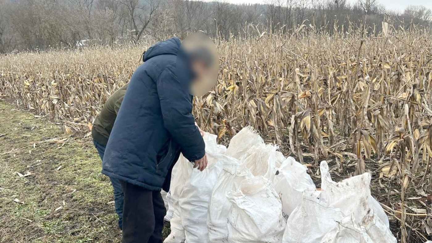 На Вінниччині підопічних будинку-інтернату ганяли “на панщину”: хто за це відповідатиме