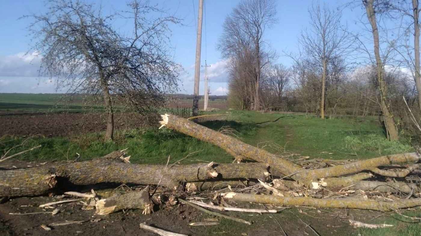 На Вінниччині відновлюють сотні електропідстанцій після нищівного шквалу