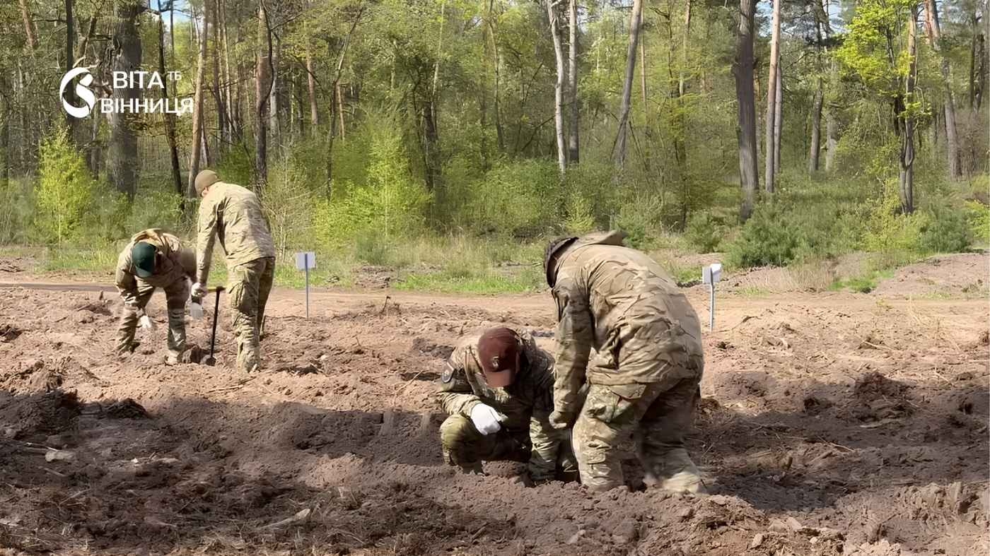 На Вінниччині висадили понад 2,5 мільйони нових дерев за весняний сезон