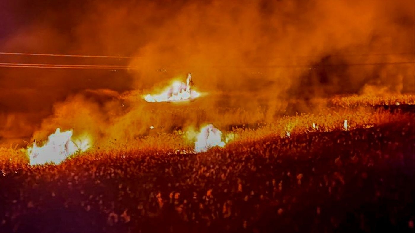 На Вінниччині за добу вигоріли одинадцять гектарів землі