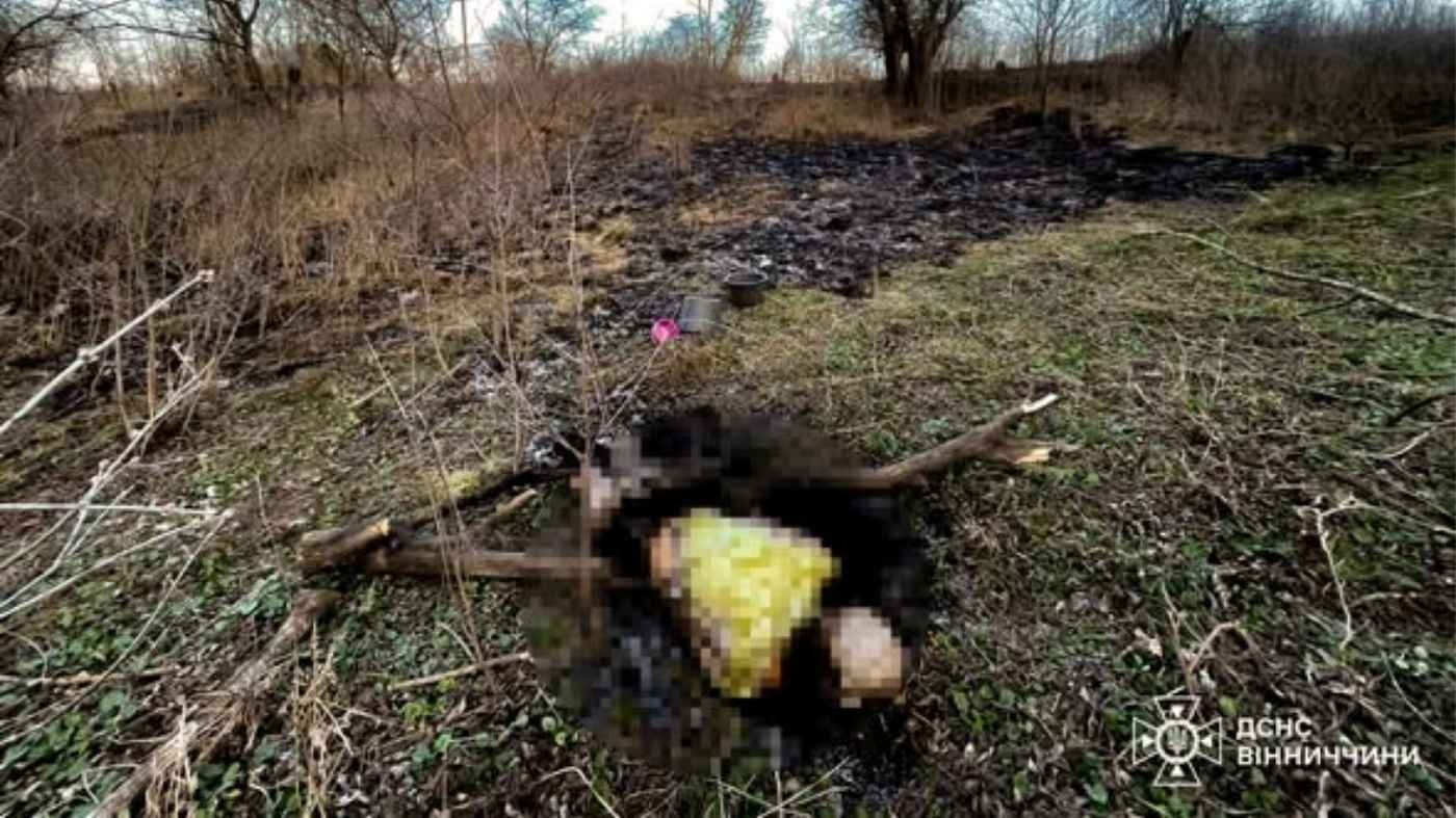 На Вінниччині загинула 88-річна жінка: запалила стерню і не впоралась з полум'ям