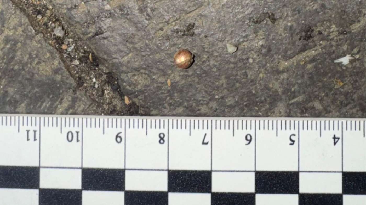 Нічна стрілянина у Вінниці: невідомий відкрив вогонь по 54-річному чоловіку