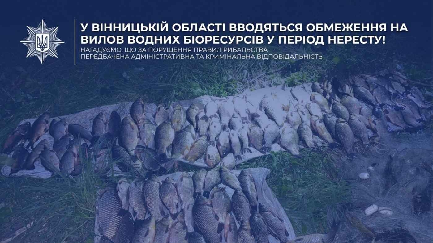 Операція "Нерест" на Вінниччині: що потрібно знати про заборону вилову риби