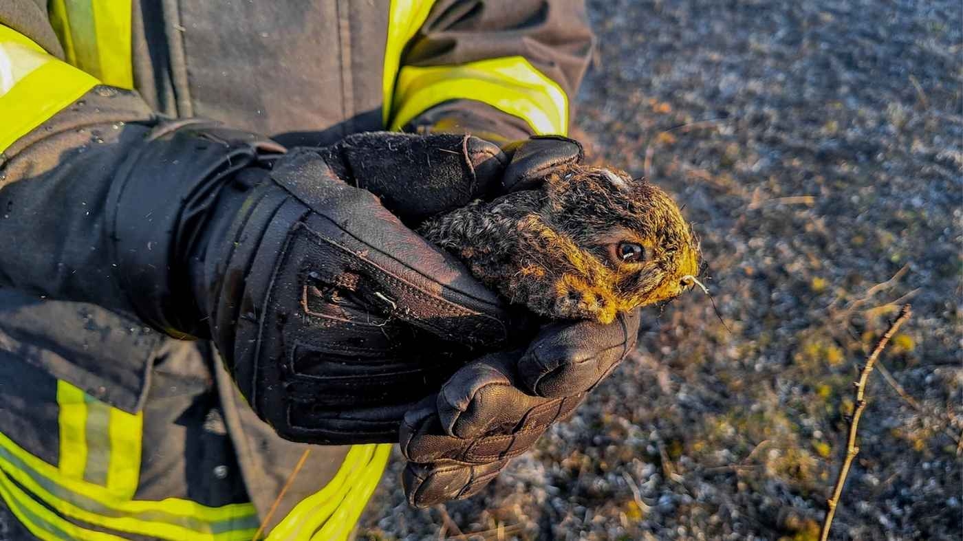 Під час пожежі у Вінниці бійці ДСНС врятували людину