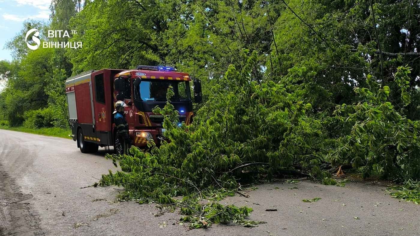 Рятувальники п'ять разів виїжджали на розчищення доріг області від повалених дерев
