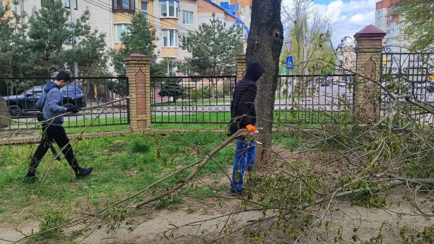 У Вінниці продовжується сезон весняного благоустрою. Днями чергову зелену зону міста було звільнено від побутового бруду та сухостою — цього разу лад наводили на території парку імені О. І. Ющенка.
