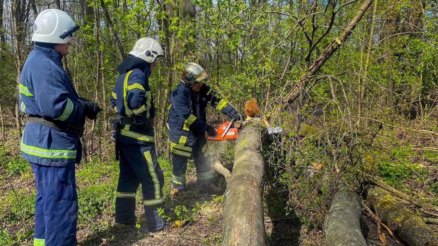 Вітер наробив лиха на Вінниччині: де саме розчищали дороги від завалів