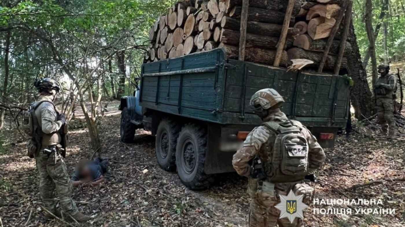 Збитків на 6,5 млн грн: у природному парку на Вінниччині незаконно рубали дерева