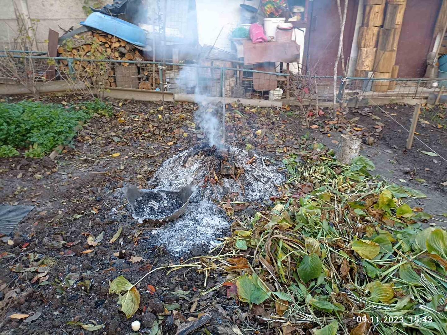 Муніципальна варта на гарячому спіймала паліїв листя у Вінниці