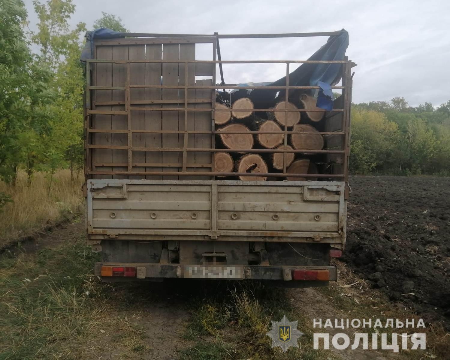 У Крижопільській громаді трійця спритників нарубали дубів на цілий «ЗІЛ» 