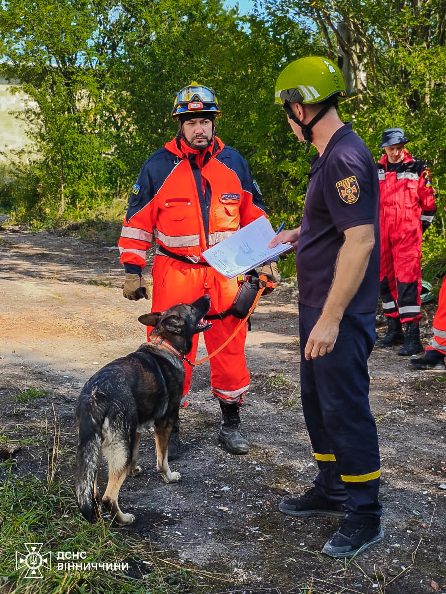 Вінницькі собаки-рятувальники здобули призові місця на щорічній атестації