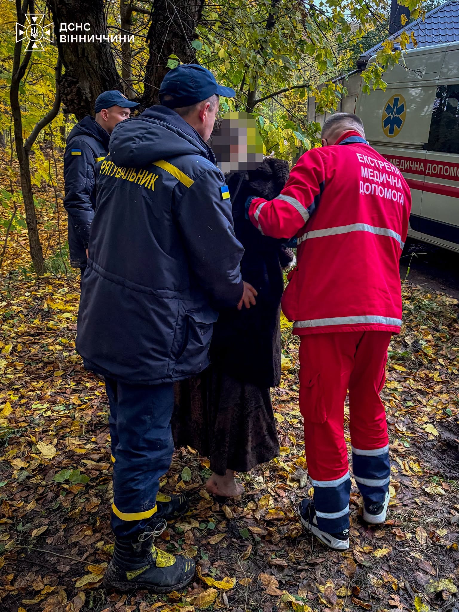 Пішла по гриби й не повернулася: пенсіонерку у Вінниці знайшли місцеві жителі