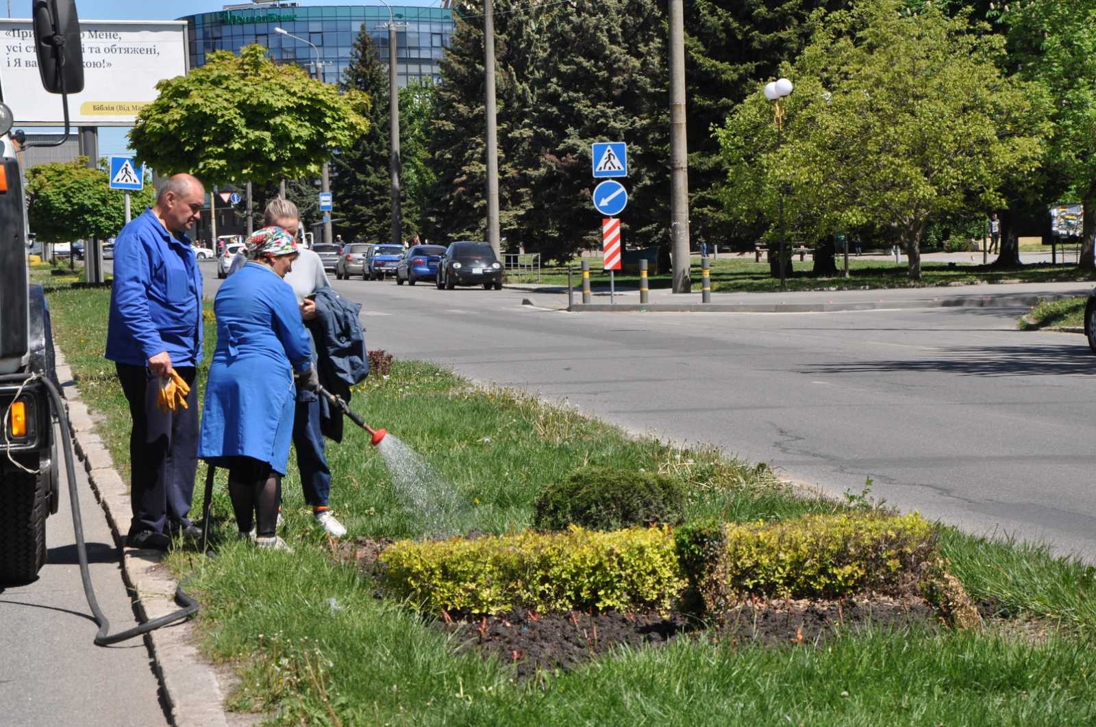 Вінниця розквітне: у місті висадили понад три тисячі троянд