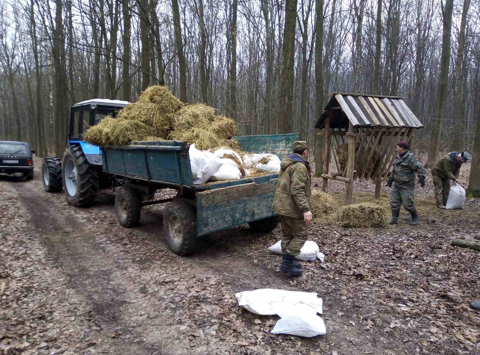 Як вінницькі лісівники підгодовують взимку оленів, козуль, муфлонів