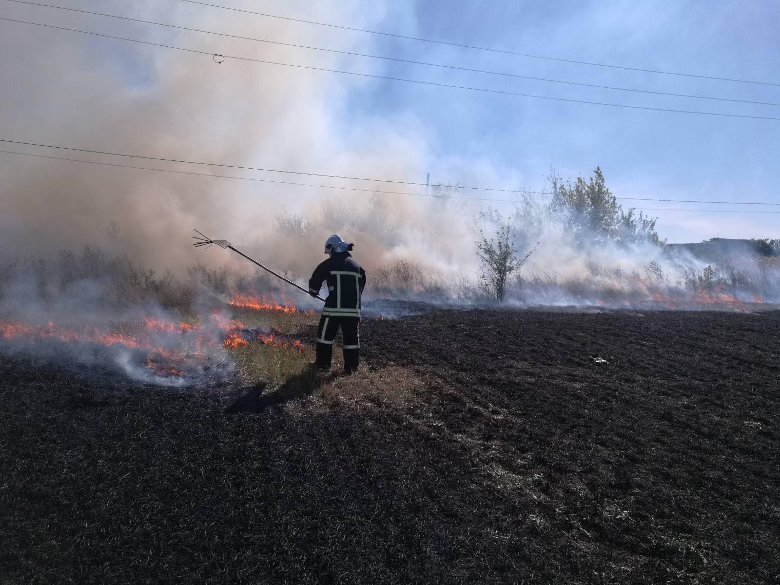 8 разів зминулої доби рятувальники на Вінниччині гасили пожежеі в екосистемах