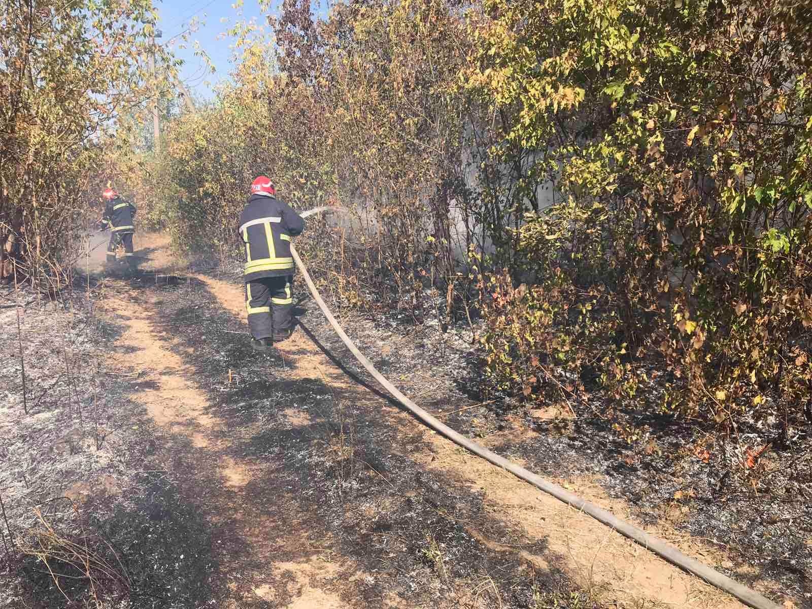 за минулу добу рятувальниками ліквідовано 19 пожеж в екосистемах, а за добу 23 вересня вигоріло взагалі 22 гектари сухостою