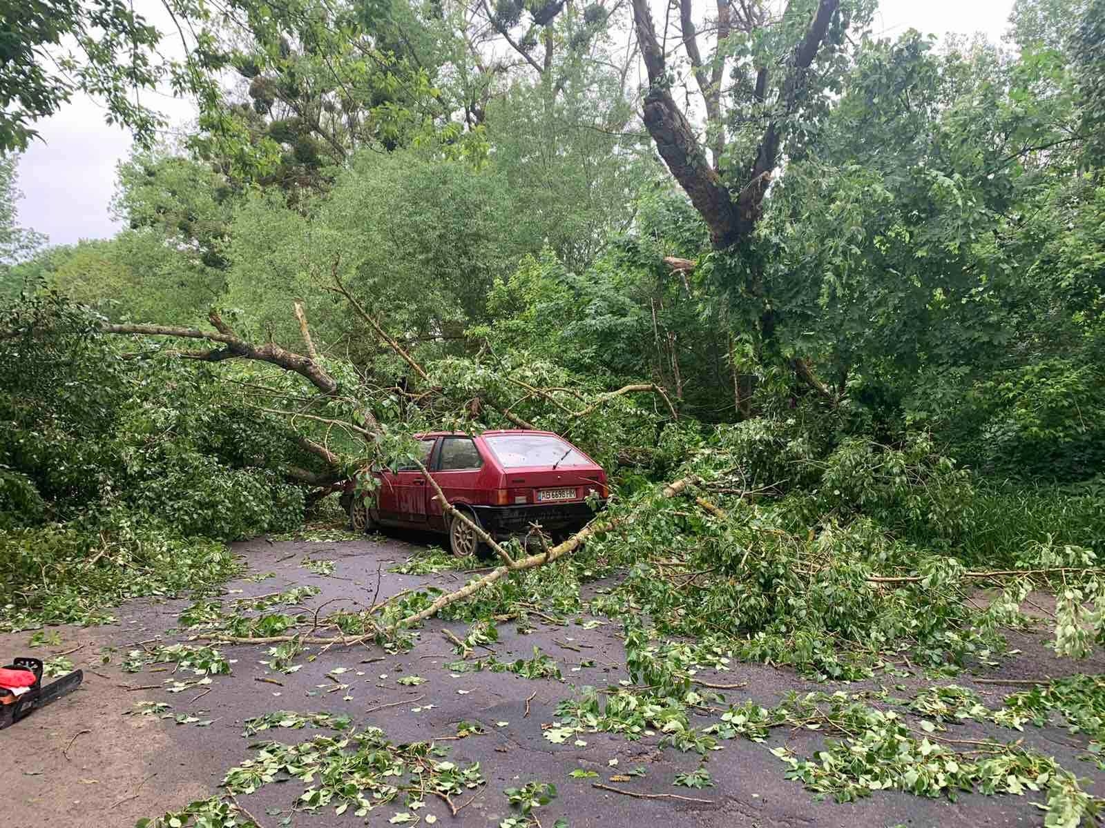 2 червня внаслідок сильного пориву вітру з автошляхів Вінницької області бійці ДСНС прибрали шість повалених дерев, які перешкодили руху автотранспорту