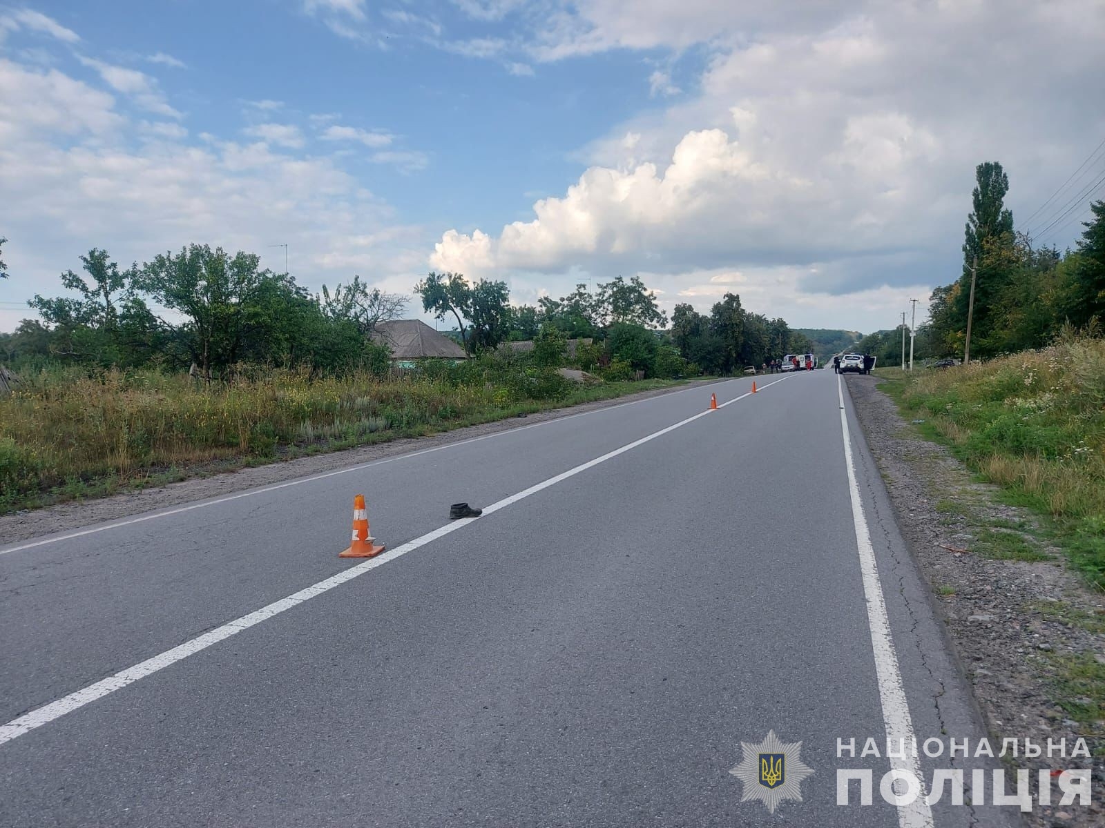 У Тульчинському районі п’яний водій наїхав на пішохода, який йшов по узбіччю