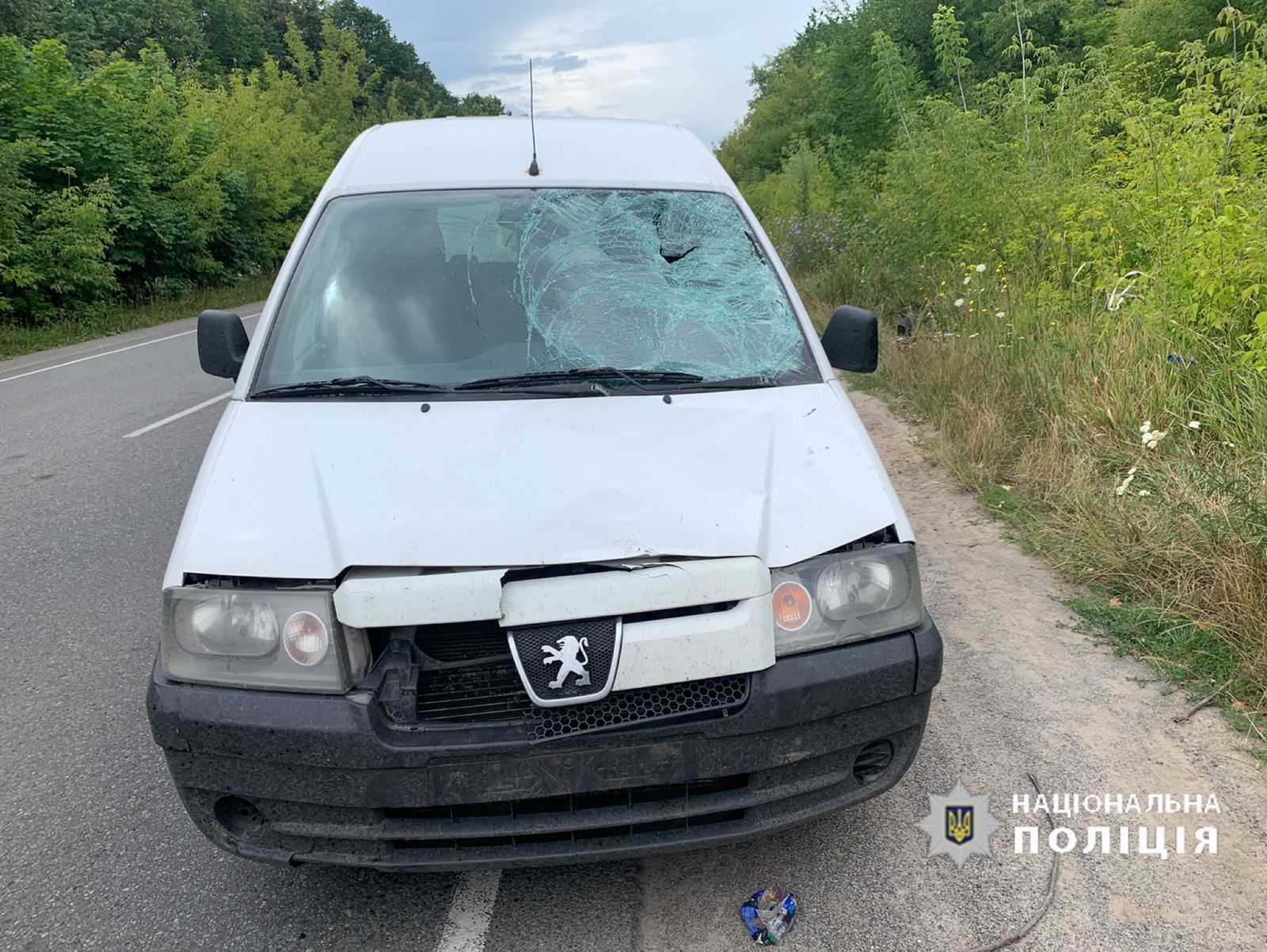 Поблизу Агрономічного водій Peugeot на смерть збив велосипедиста