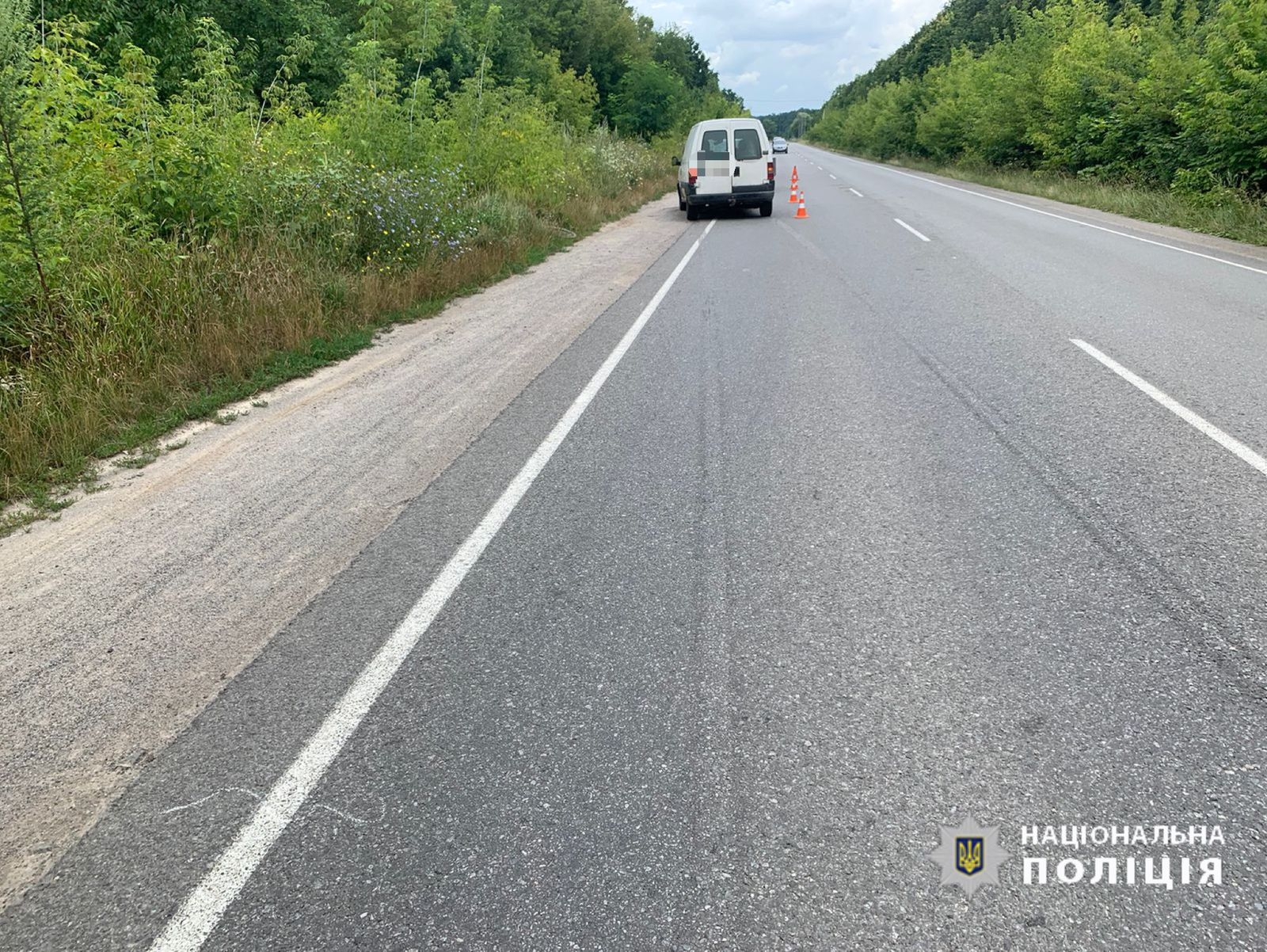 Поблизу Агрономічного водій Peugeot на смерть збив велосипедиста