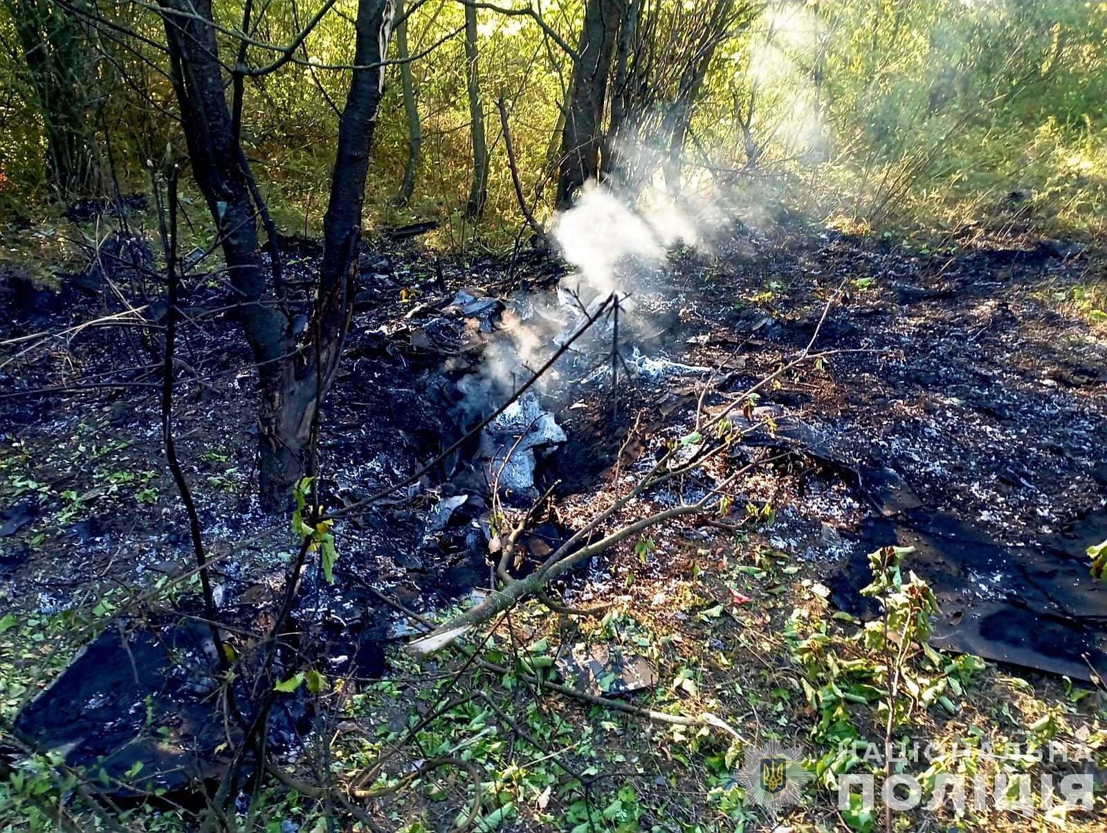 За межами населених пунктів Вінниччини знайшли уламки трьох БПЛА