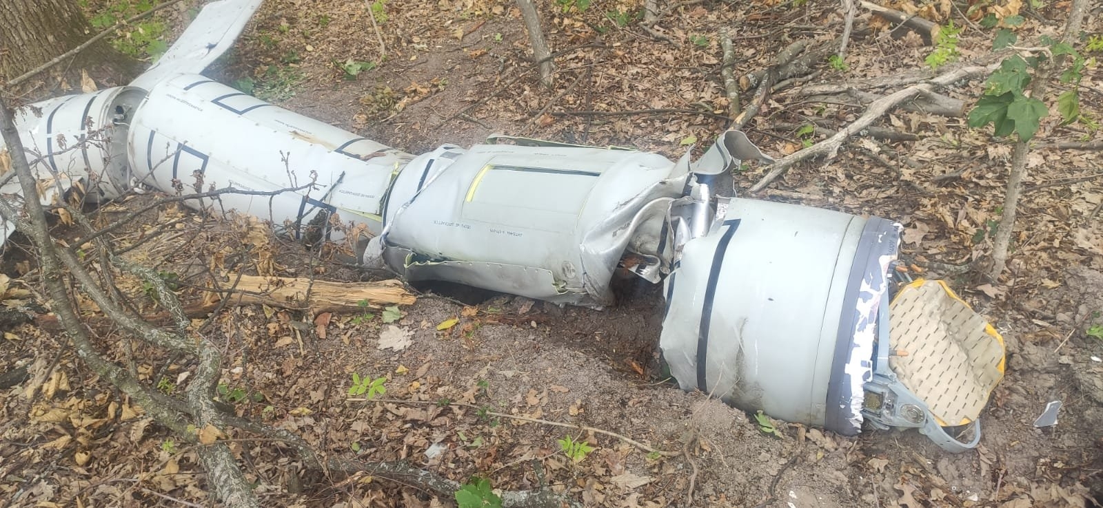 На Вінниччині лісівники знайшли ракету, яку збила протиповітряна оборона