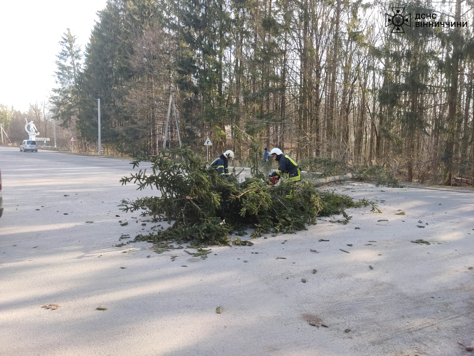 У Хмільнику рятувальники прибрали з автошляху повалене дерево