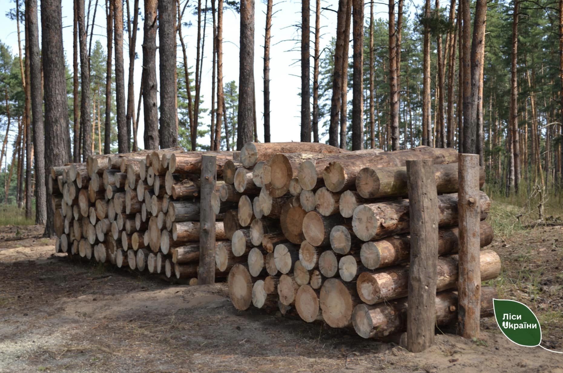 Вінничани придбали майже 105 тис. кубометрів дров на зиму