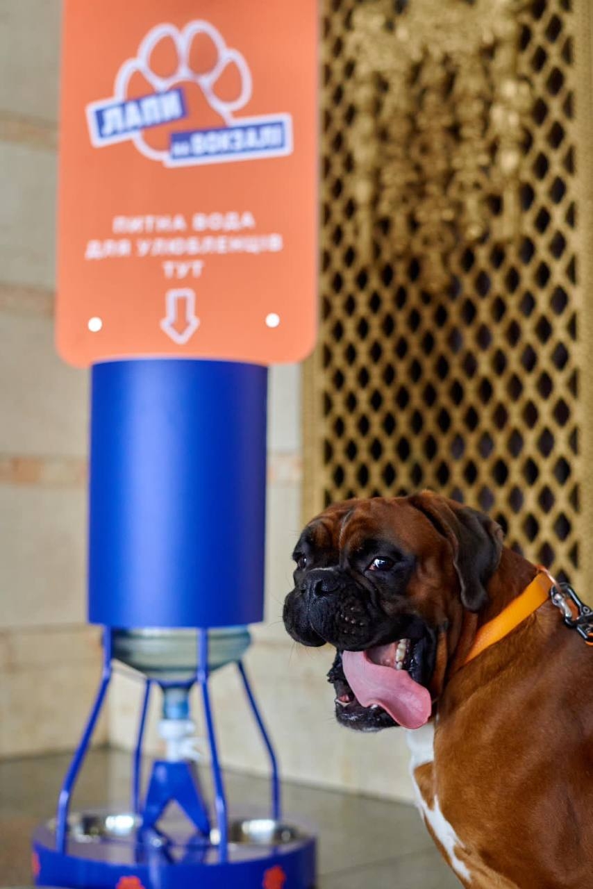 Вокзал Вінниці став Pet-friendly - там облаштують зручну поїлку для тварин