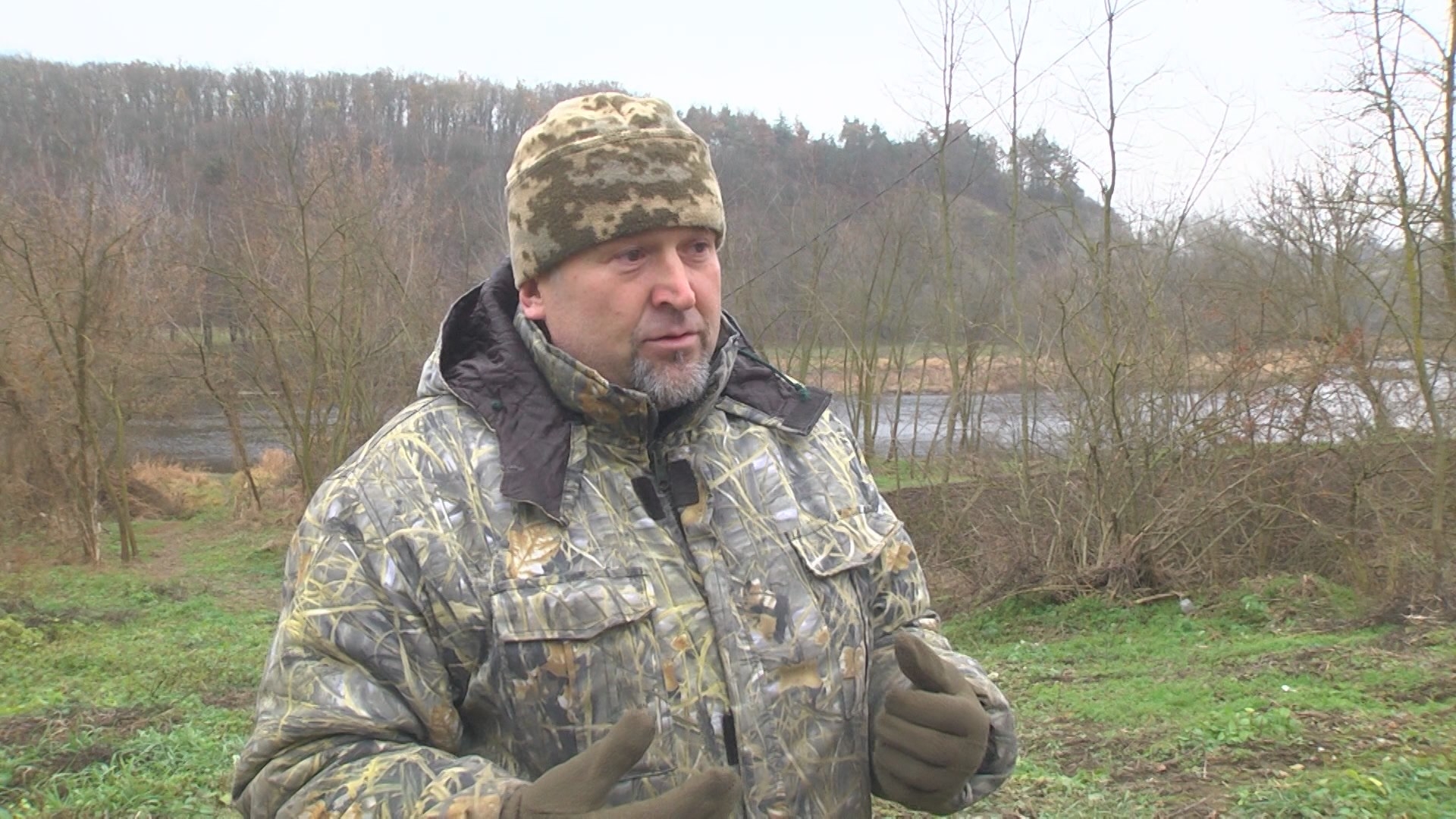 Червонокнижні чаплі залишились зимувати на сільському ставку на Вінниччині