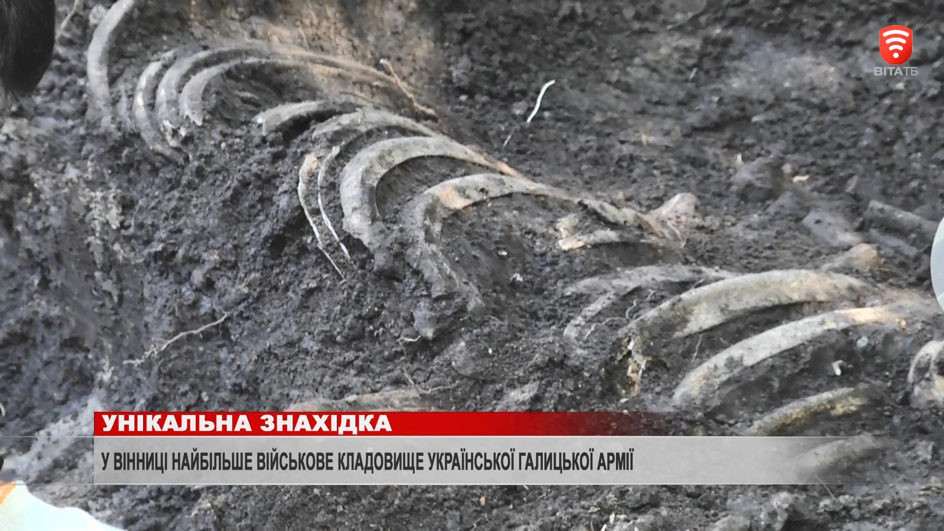 ослідники виявили рештки коня, якого поховали на окраїні кладовища десятками років пізніше, а поруч розкопали насип з останками щонайменше семи людей
