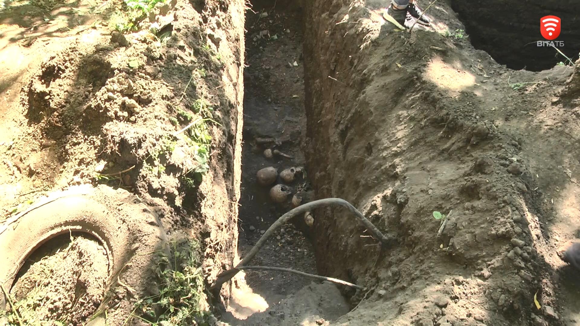 У Вінниці розкопали найбільше кладовище вояків Галицької армії
