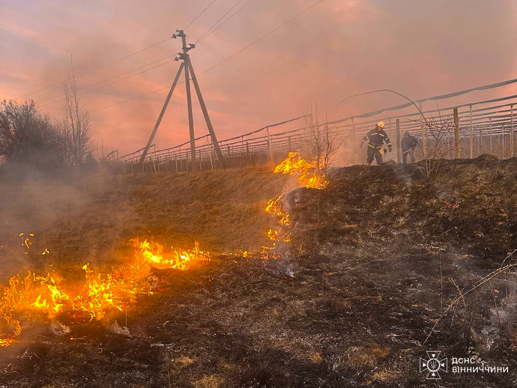 На Вінниччині горіли екосистеми в усіх районах області на площі понад 25 гектарів