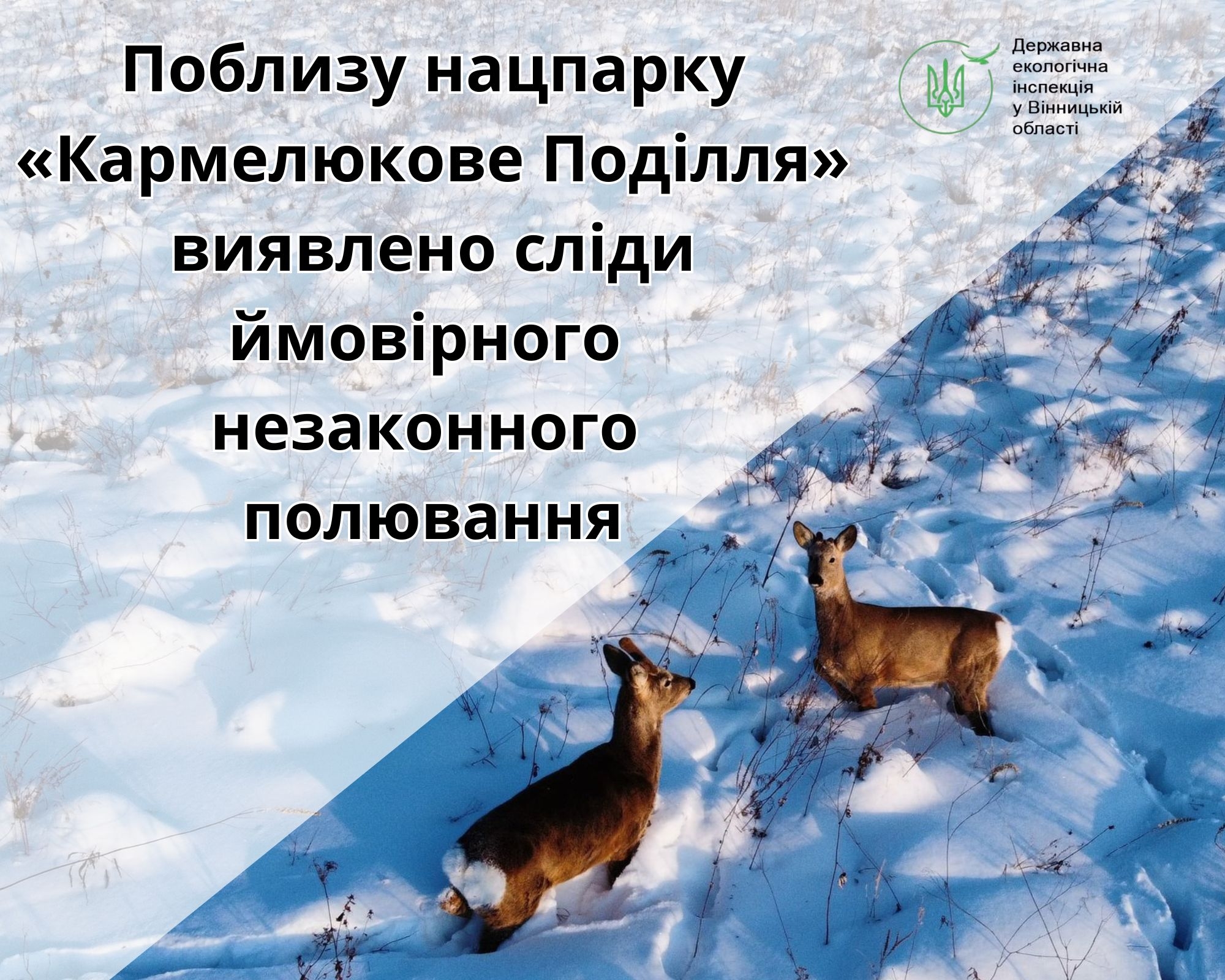 На Вінниччині біля національного природного парку влаштували незаконне полювання