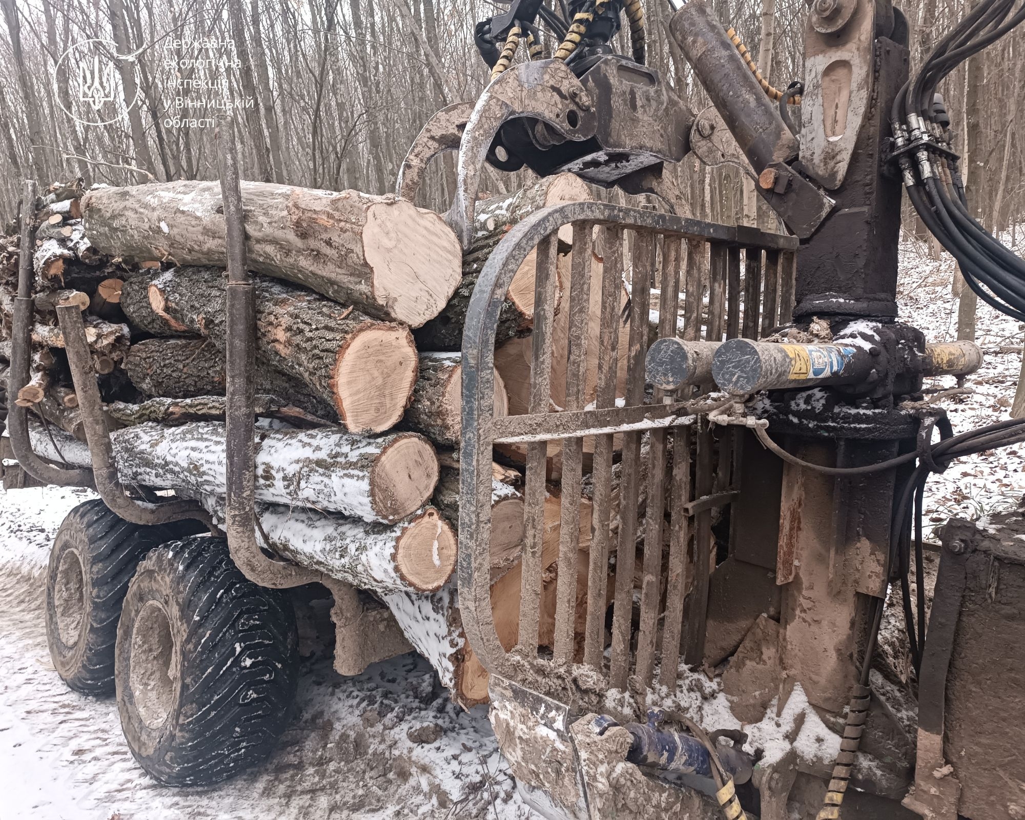 Виявили факт незаконного вивезення деревини на Вінниччині