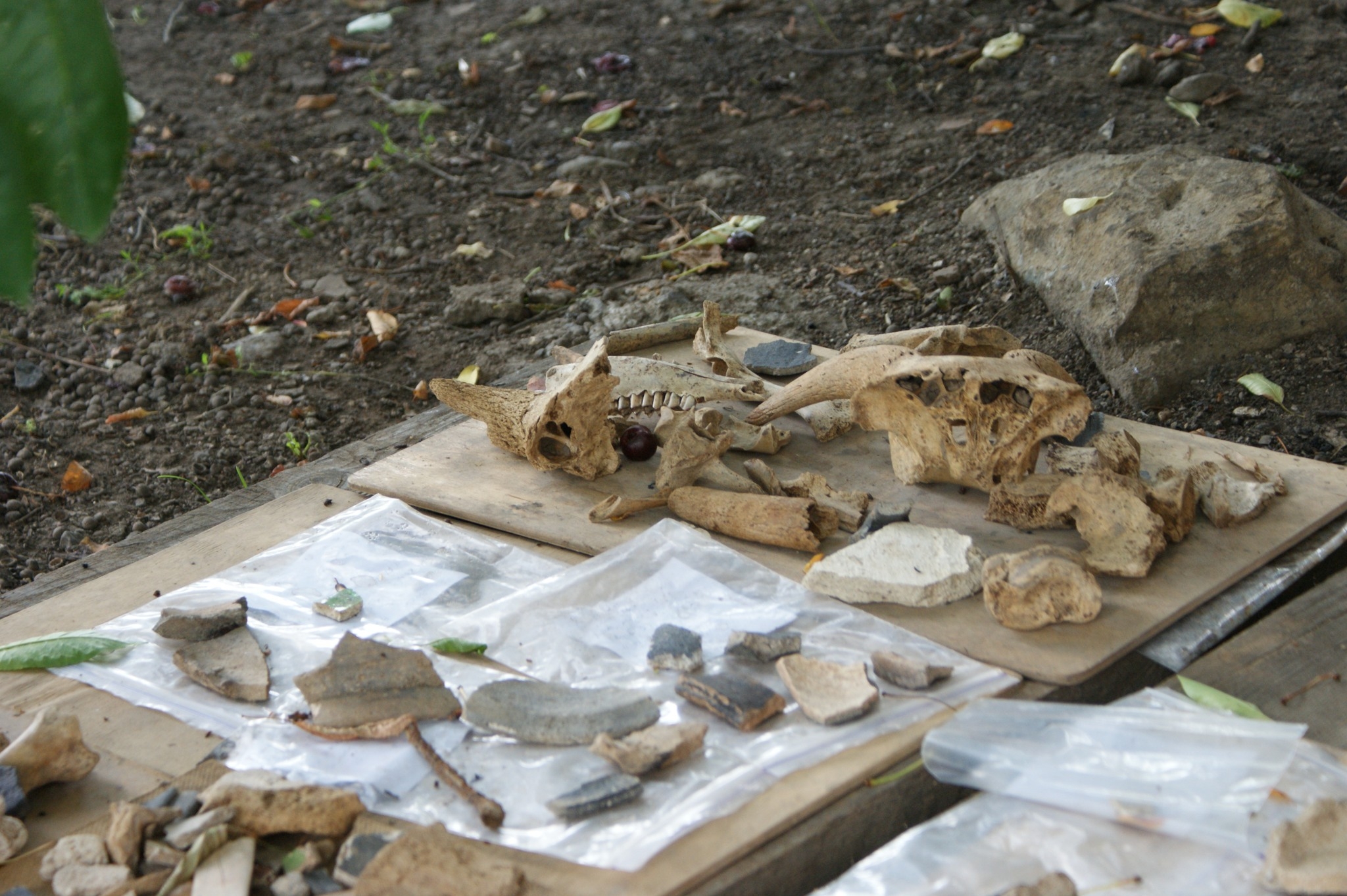 Археологи відшукали у центрі Вінниці шість досі невідомих поховань