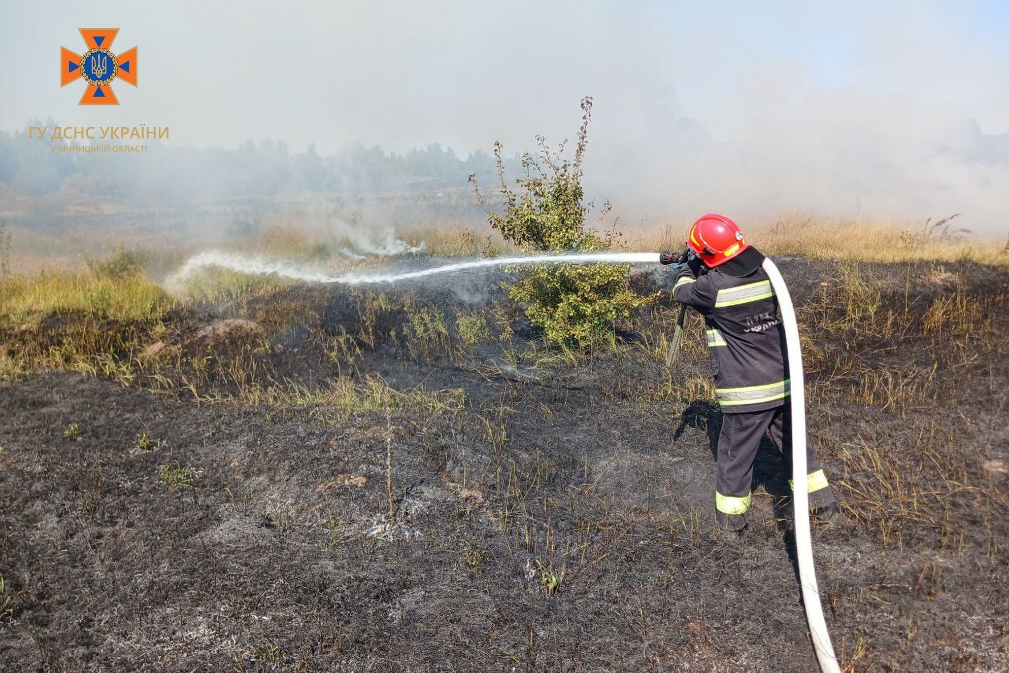 Через підпали трави та сміття на Вінниччині вигоріло понад 6 гектарів землі