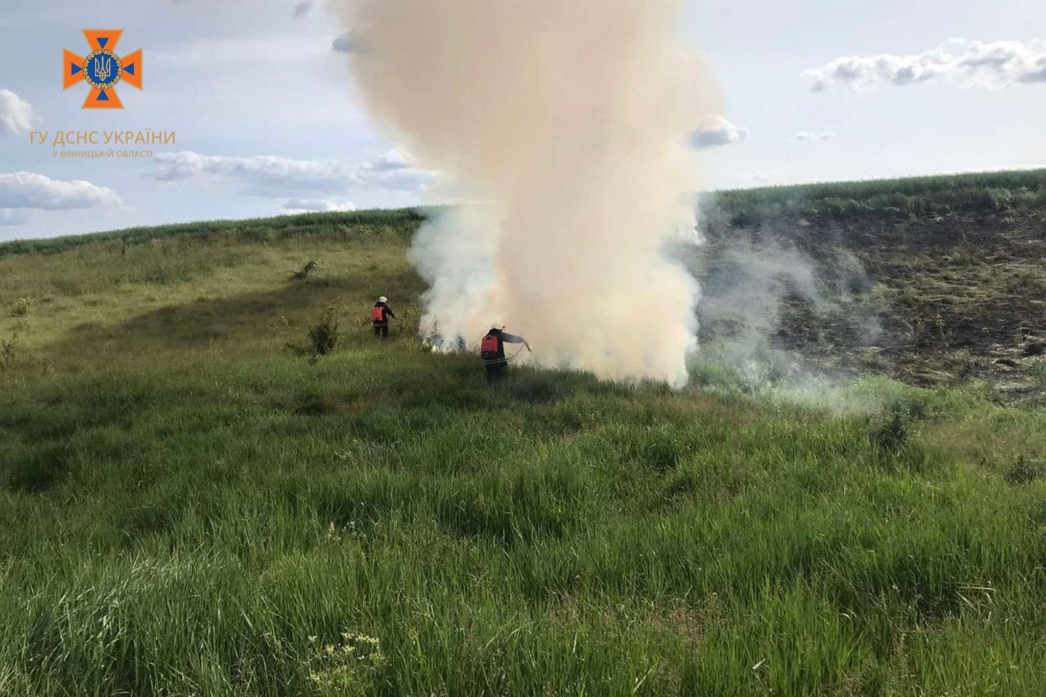 Через підпали трави та сміття на Вінниччині вигоріло понад 6 гектарів землі