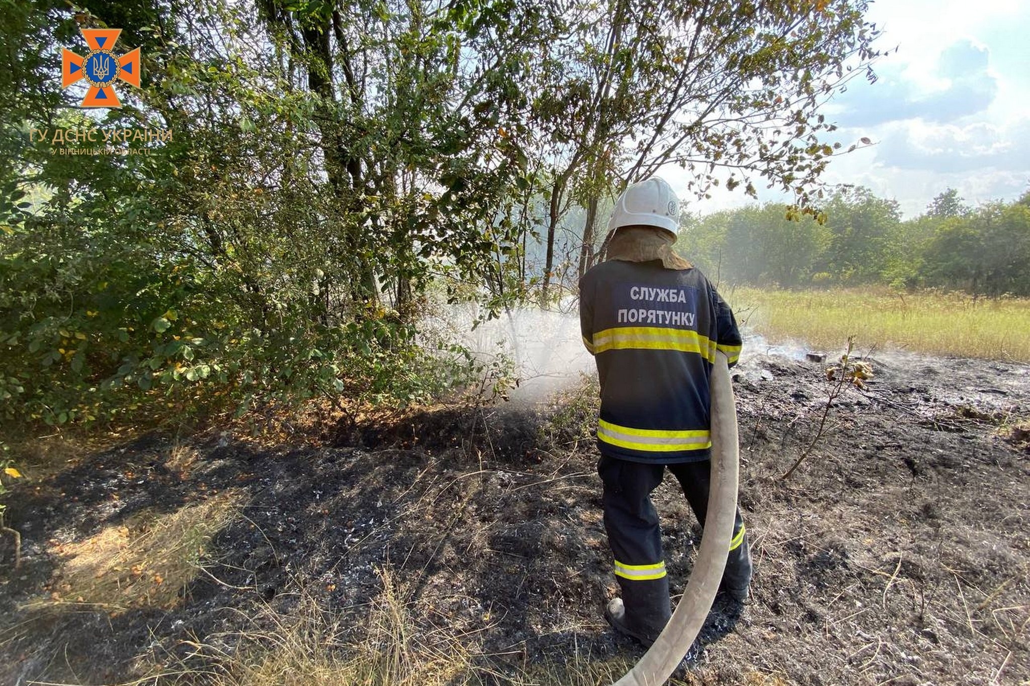 На Вінниччині за два дні сталося 15 пожеж в екосистемах