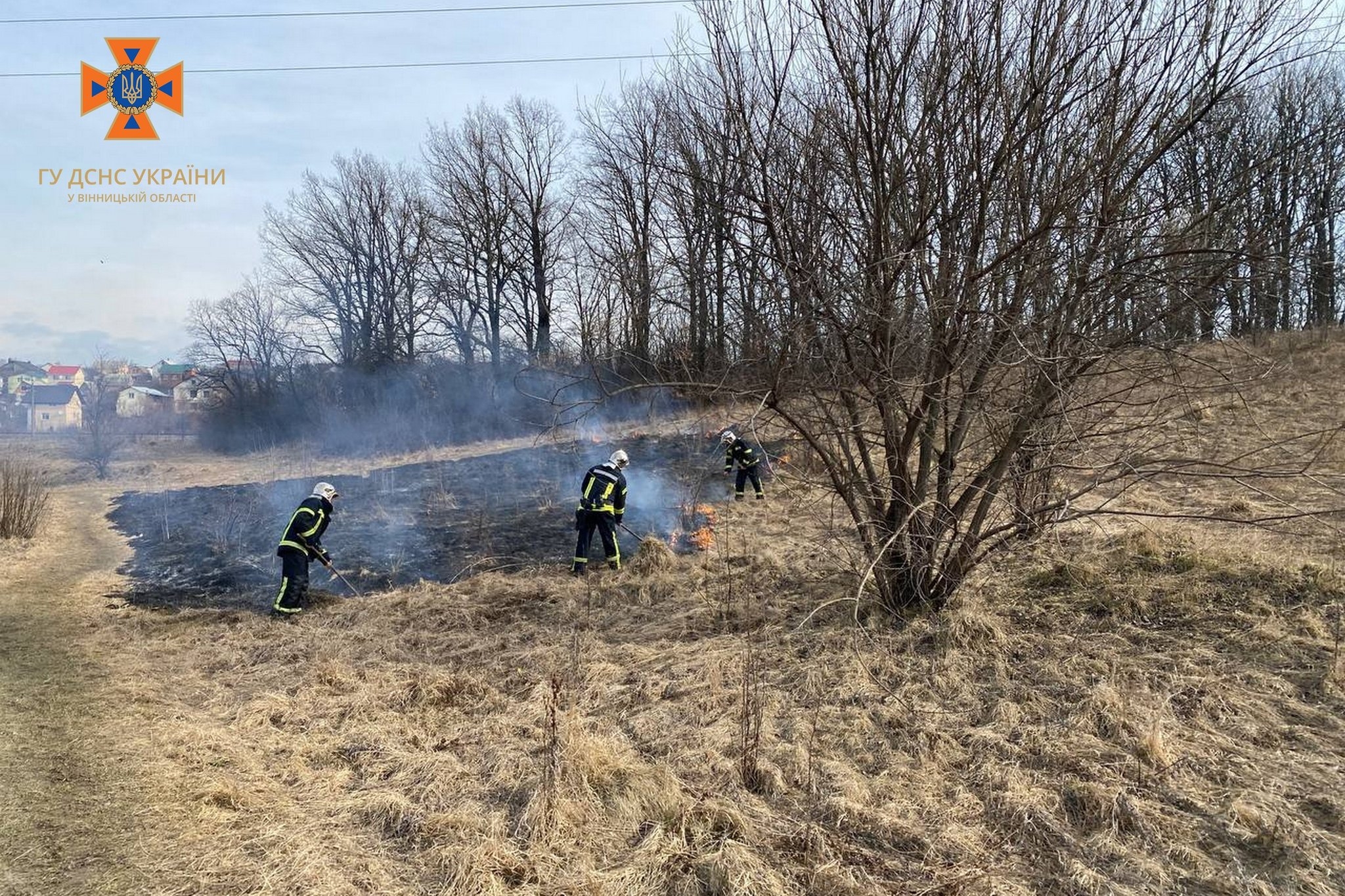 Рятувальники Вінницької області шість разів виїжджали гасити вогонь в екосистемах