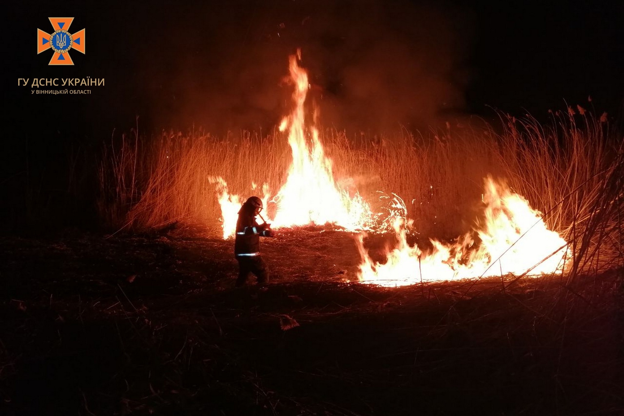 Рятувальники закликають вінничан не провокувати пожежі в екосистемах