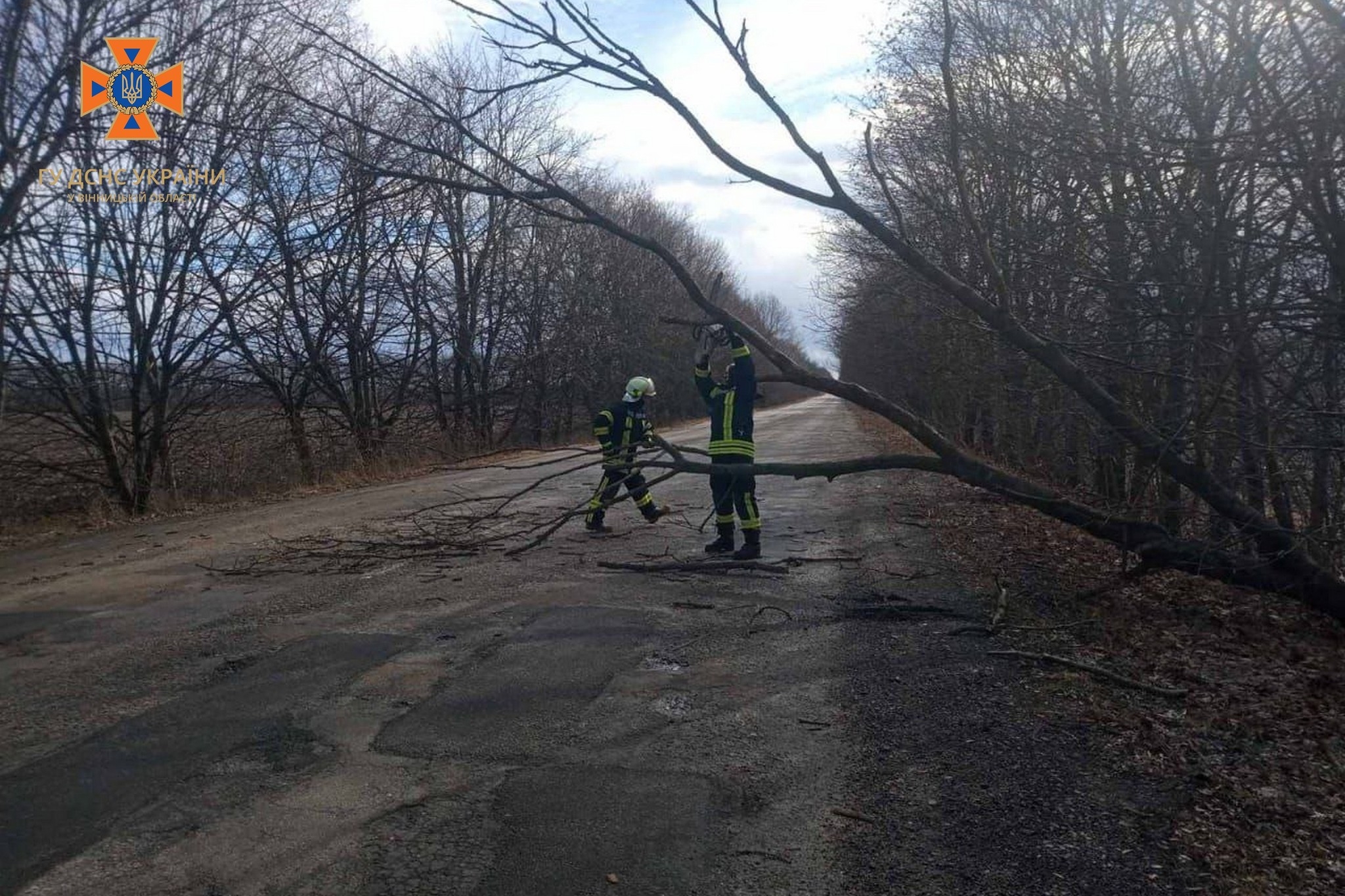 Сьогодні, 21 лютого, сильний вітер повалив чимало дерев у Вінниці та області
