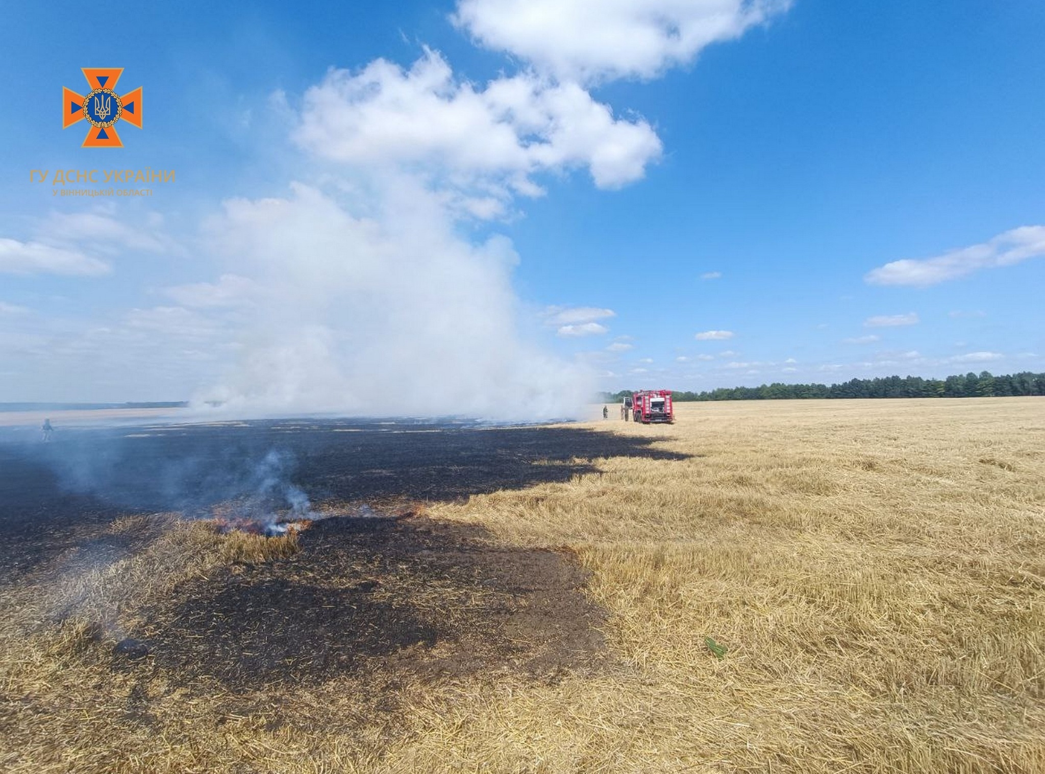 На Вінниччині за добу рятувальники вісім разів гасили пожежі в екосистемах