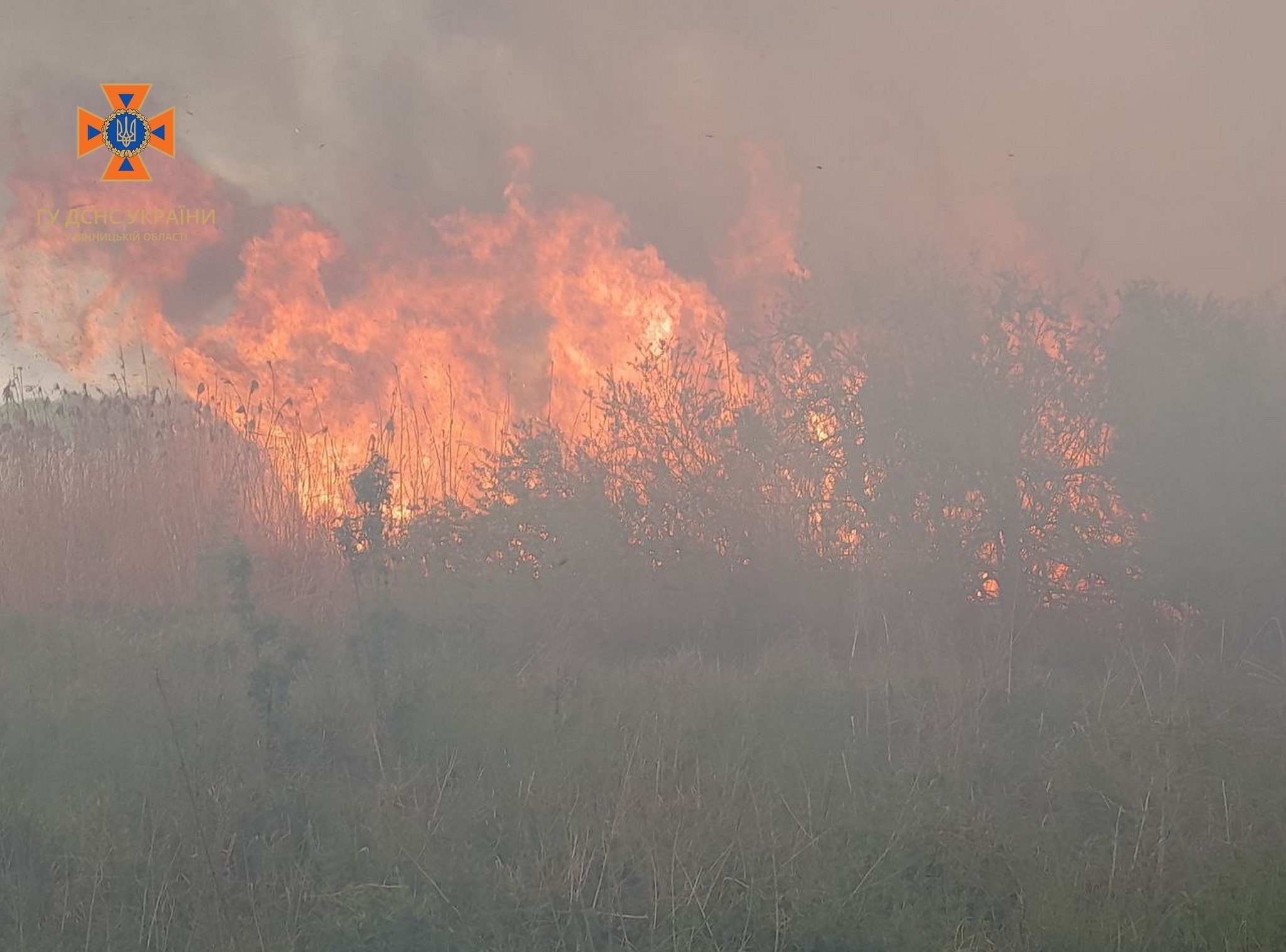 Рятувальники ліквідували десять пожеж в природних екосистемах області