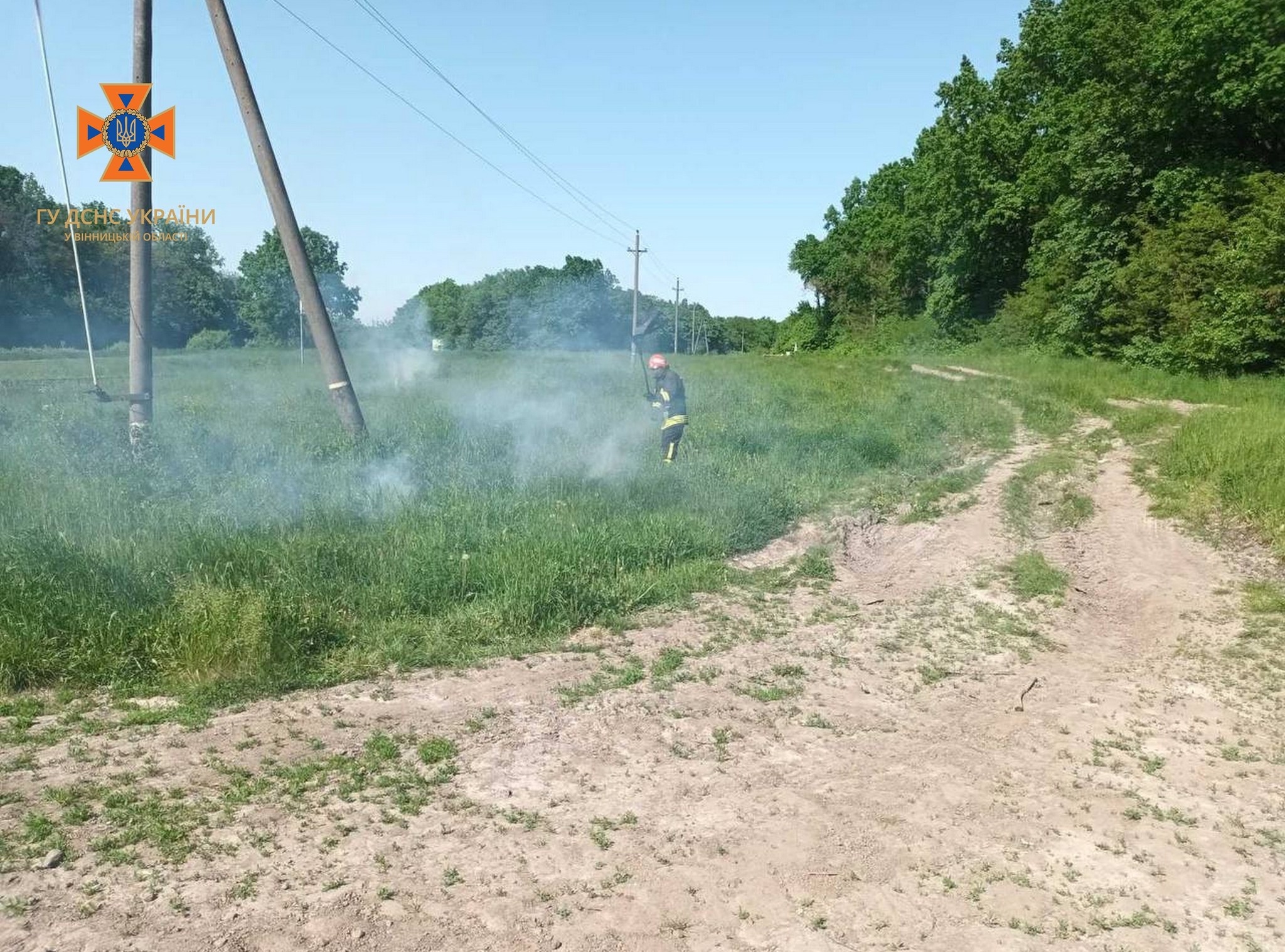 Рятувальники ліквідували десять пожеж в природних екосистемах області