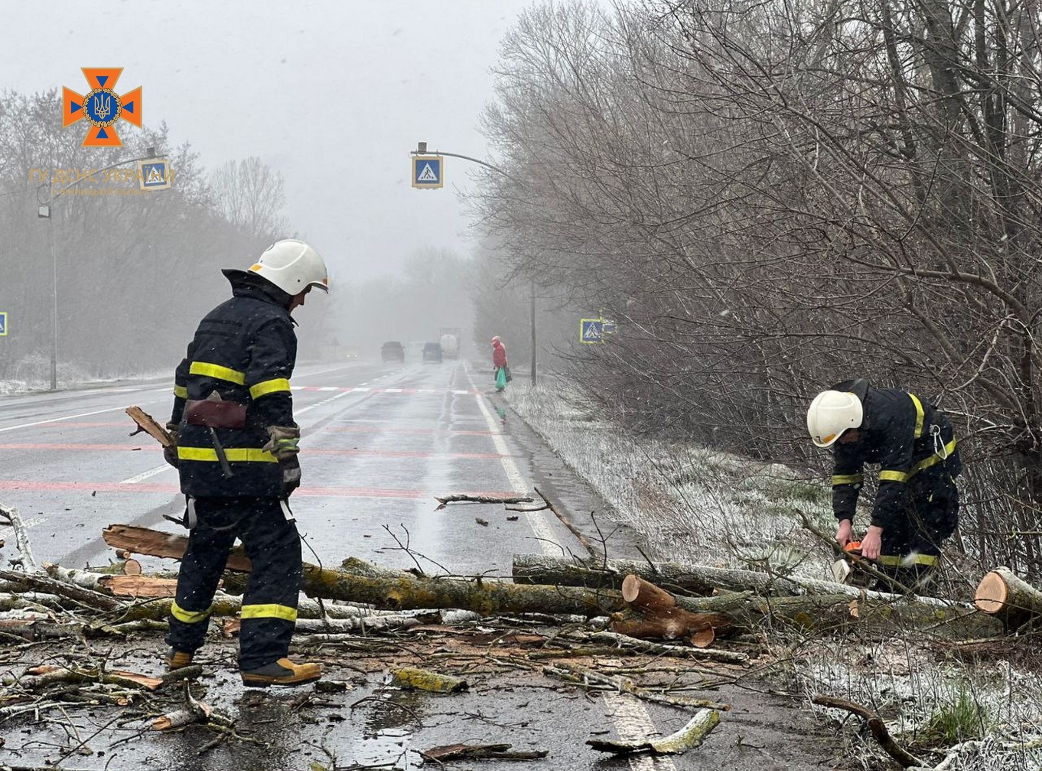 У Літинській громаді дерево впало на трасу та перекрило рух транспорту