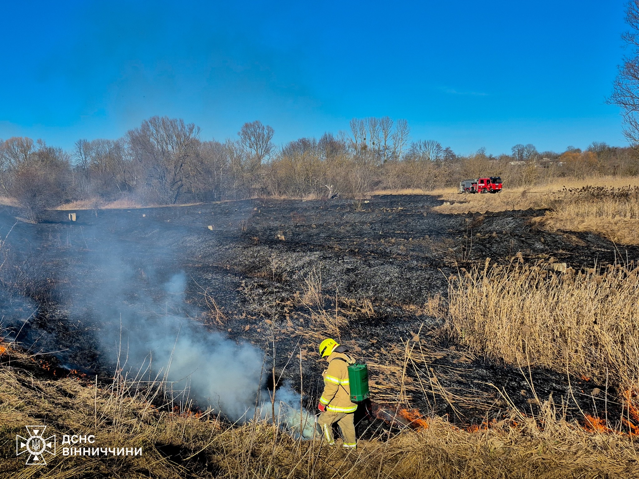 На Вінниччині вогонь обпалив понад два гектари землі