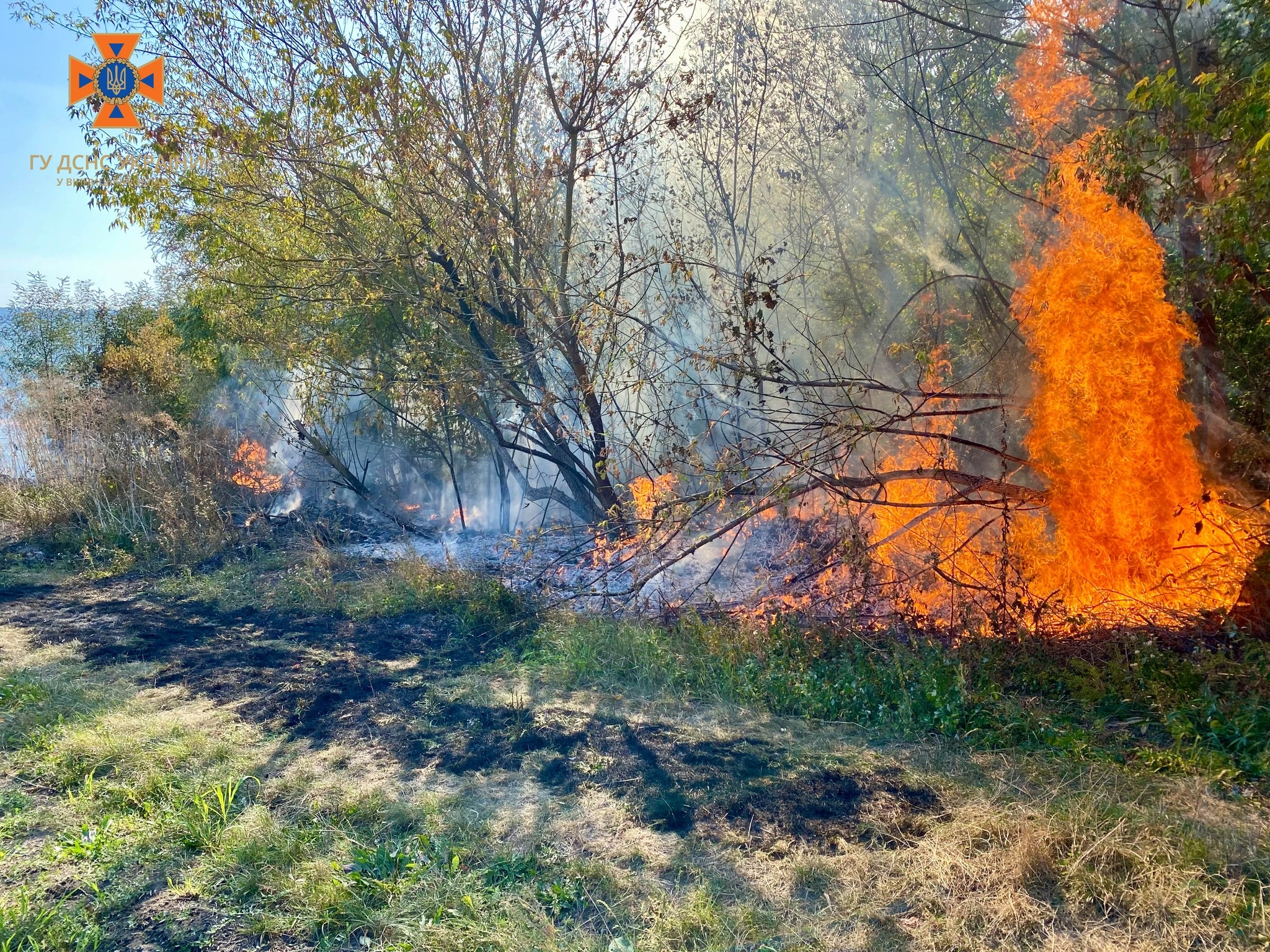 За добу на Вінниччині сталося 24 пожежі - вигоріло понад 11 га грунту