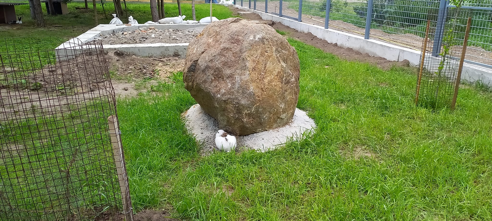 У Подільському зоопарку облаштували новий вольєр для рідкісних гризунів