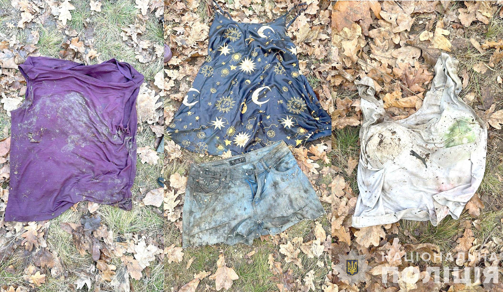 У лісосмузі на Вінниччині знайшли тіло невідомої - упізнання триває вже другий місяць